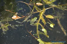 comp_DSC05112.webp