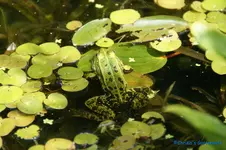 comp_DSC05113.webp