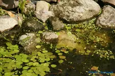comp_DSC05115.webp