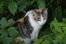 comp_DSC05116.webp