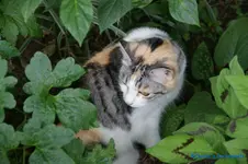 comp_DSC05117.webp