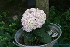 comp_DSC05118.webp