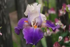 DSC05906.webp