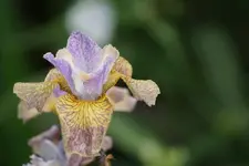 DSC05910.webp