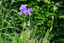 DSC05920.webp