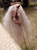 P1150013.webp