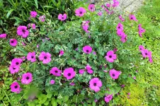 DSCF6218 (2).webp