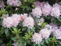 Bilda272.webp