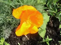 Bilda304.webp