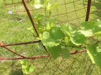 Bilda680.webp