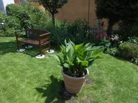 DSCN4113.webp