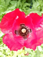 DSCN4082.jpg