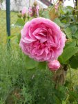 DSCN4139.jpg