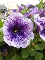 DSCN4143.webp