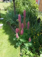 DSCN4110.webp
