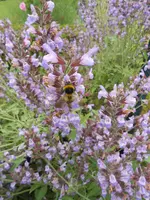 DSCN4136.webp