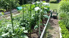 20160613_114240.webp