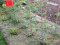 IMG_1153.webp