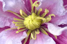 DSC_3360x.webp