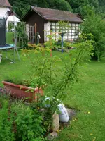 2016-06-13 Rosensteckling1 gesamt.webp