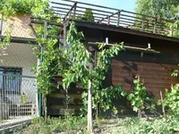 k-P1110271.webp