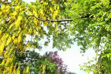 DSCF6347 (2).webp
