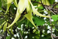 DSCF6338 (2).webp