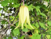 DSCF6351 (3).webp