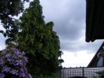 Regenwolken.jpg