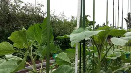 20160615_092801.webp