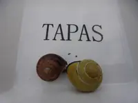 P1170274.webp