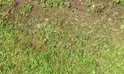 garten_0021.jpg