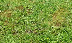 garten_0022.webp