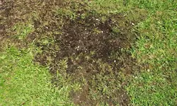 garten_0023.jpg