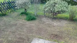 photo99940178582415787.webp