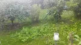 photo99940178582415853.webp