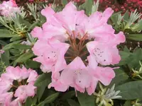 Bilda076.webp