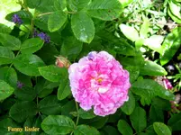IMG_6376.JPG