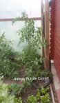 2016-06-15_18.37.13.jpg