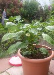 2016-06-15_18.43.14.jpg