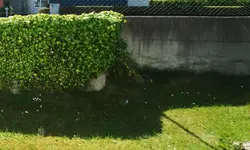 garten_0009.webp