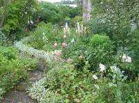 001.webp