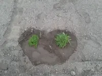 20160509_174452.jpg