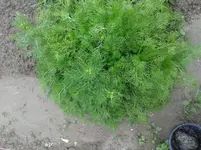 20160615_175341.jpg