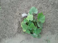 20160615_175352.jpg