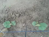 20160615_175410.jpg