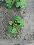 20160615_175546.jpg