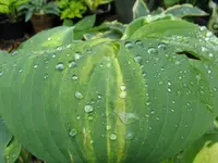 004_1024x768.webp