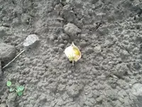 20160615_175555.jpg