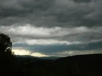 P1120215.webp